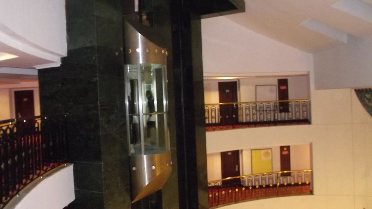 Der Fahrstuhl  Papillon Ayscha