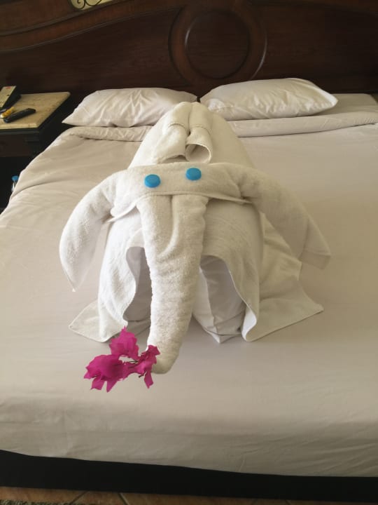 Zimmer Regency Plaza Aqua Park & Spa