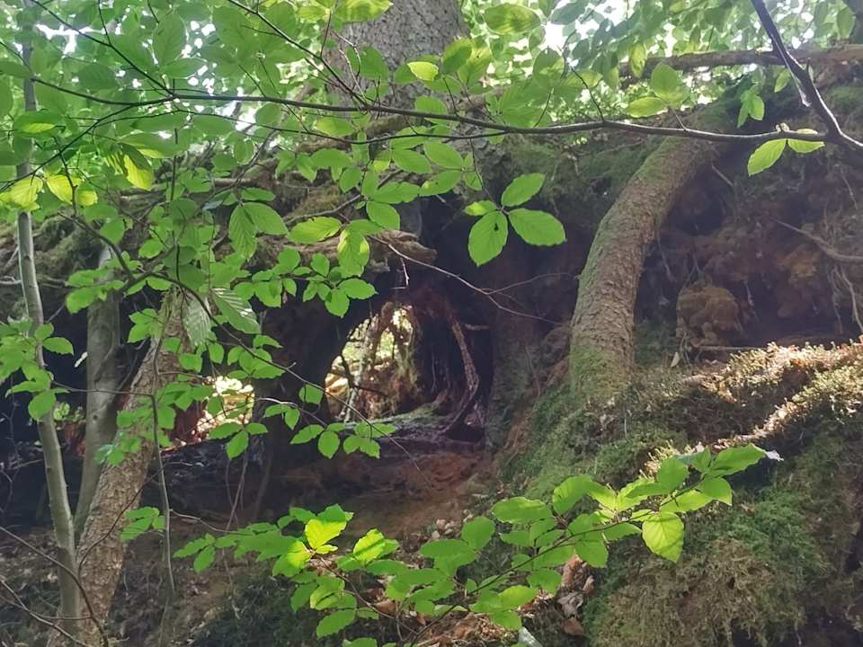 Zimmer Acapulco Beach Club & Resort