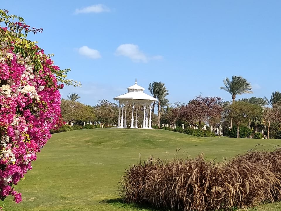 Gartenanlage Steigenberger ALDAU Beach Hotel