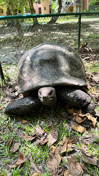 Ausblick Constance Ephelia