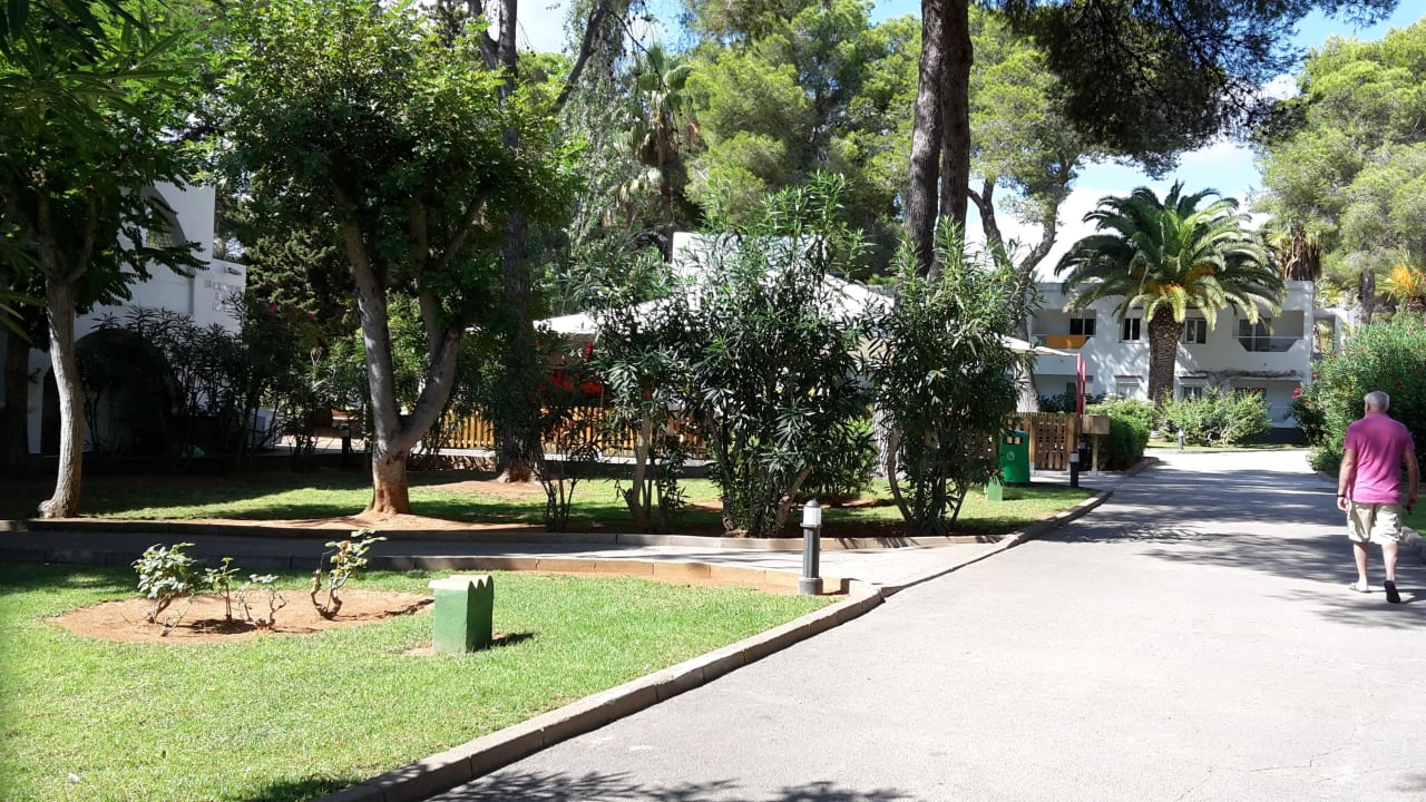 Gartenanlage  TUI MAGIC LIFE Cala Pada