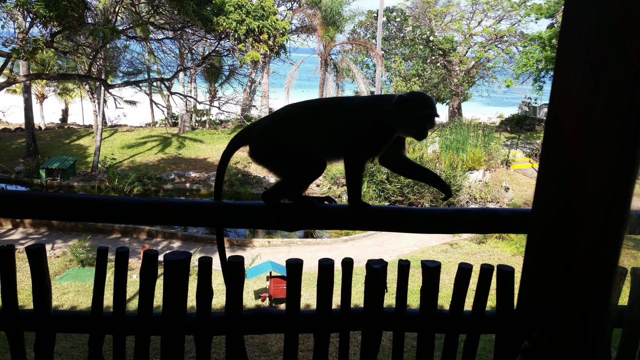 .Hotel Baobab Beach Resort Baobab Beach Resort & Spa