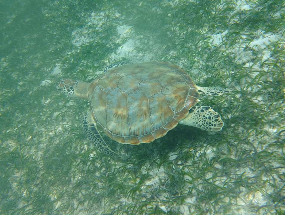 Sonstiges Jawakara Islands Maldives