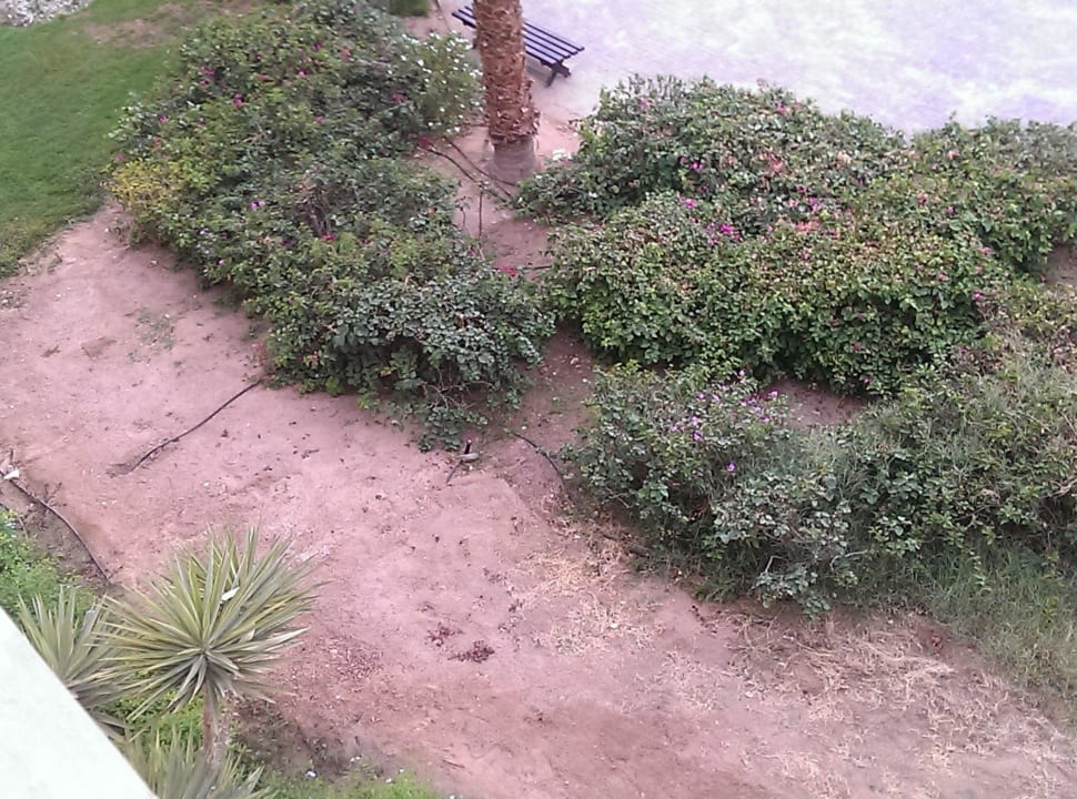 Naja Steigenberger ALDAU Beach Hotel