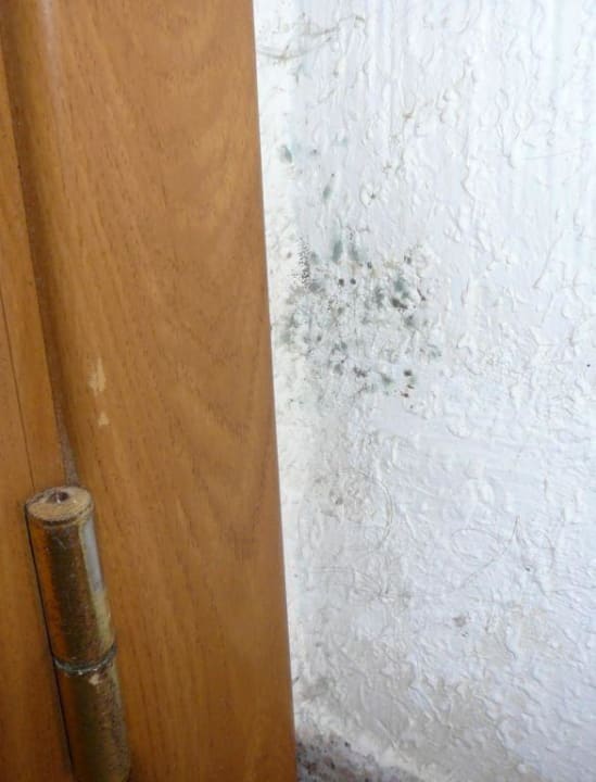 Schimmel Hotel Edén Palma Playa - Adults Only