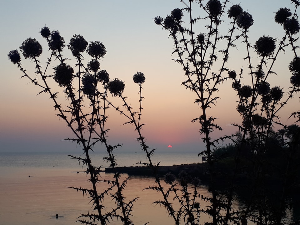 Ausblick Crystal Springs Beach Hotel