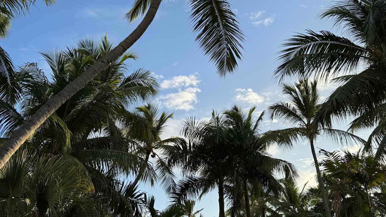 Strand Hotel Grand Palladium Palace Resort, Spa & Casino