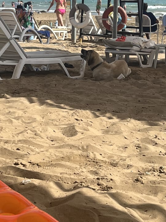 Strand Side Aquamarin Resort & Spa