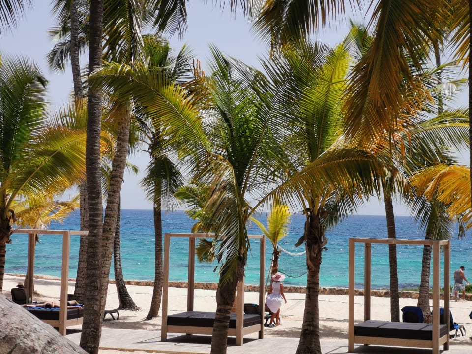 Strand Hotel Viva Dominicus Beach by Wyndham - All Inclusive Resort