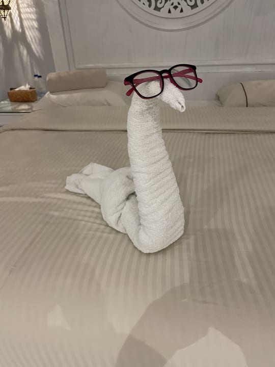 Zimmer The Grand Palace - Adults only