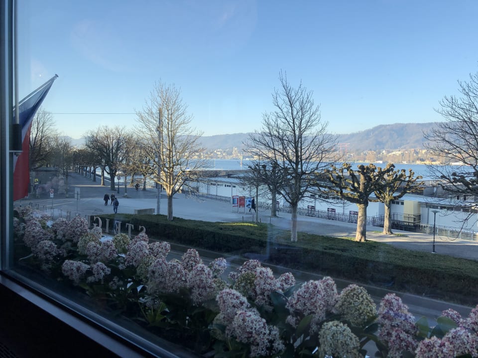 Ausblick AMERON Zürich Bellerive au Lac