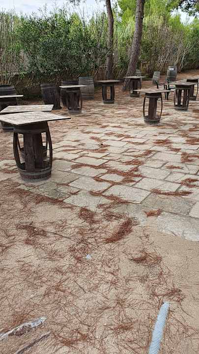 Gartenanlage Hotel Ecoresort Le Sirene