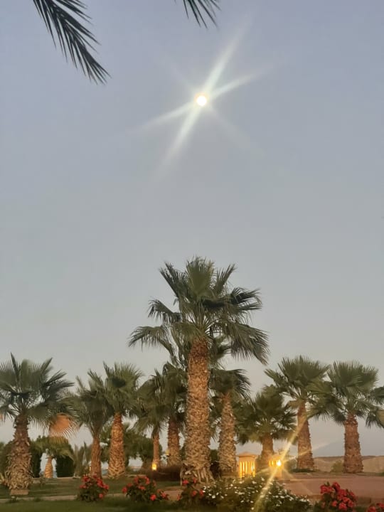 Gartenanlage Lahami Bay Beach Resort