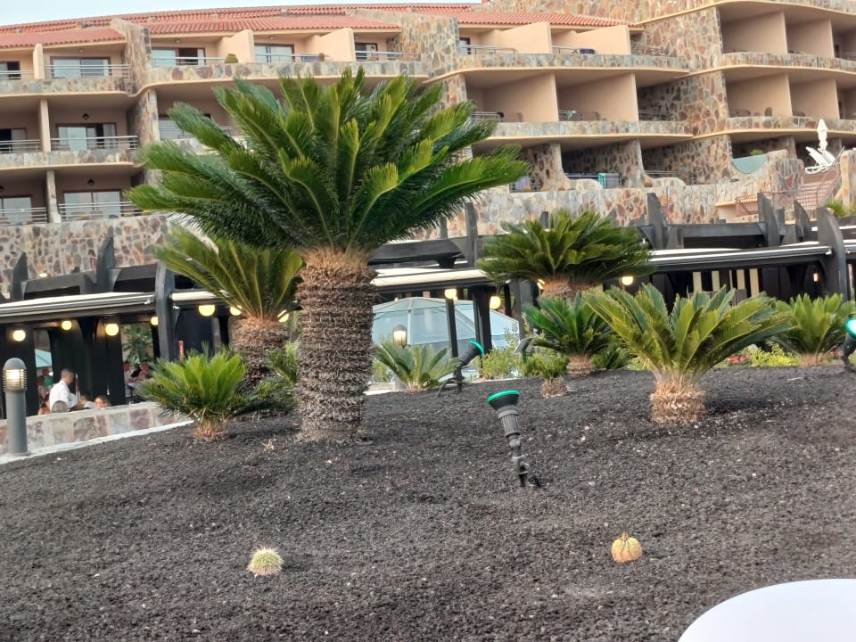 Gartenanlage H10 Playa Meloneras Horizons Collection