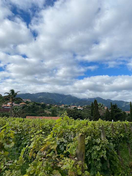 Ausblick Hotel Quinta do Furao