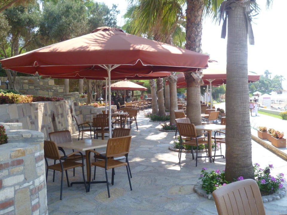 Strandbar Arum Barut Collection