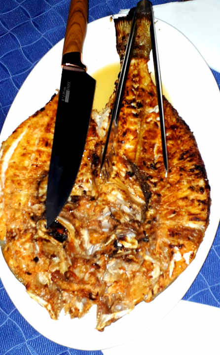 Gastro Rubba Luxury Yacht