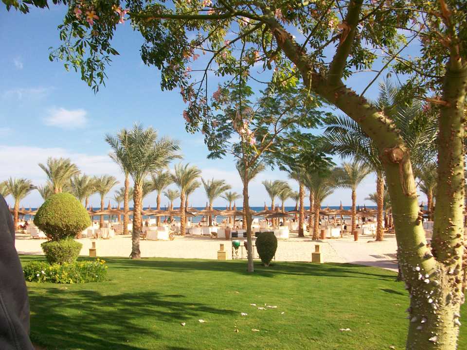 Strand Pickalbatros Palace Resort
