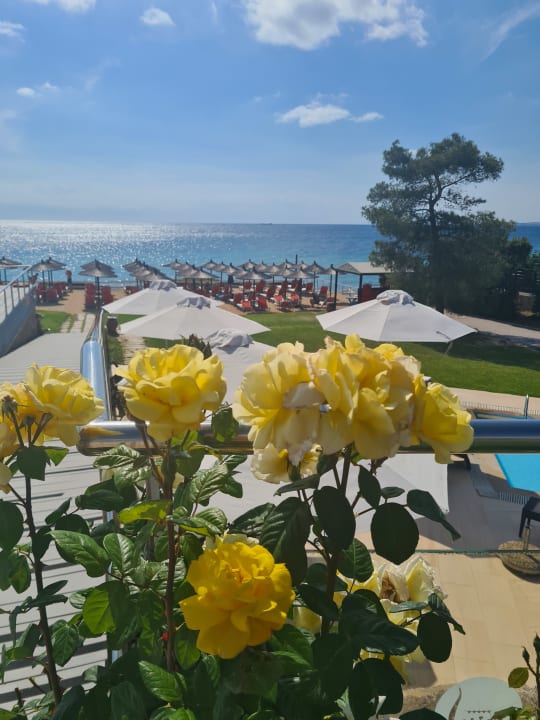 Ausblick Istion Club & Spa
