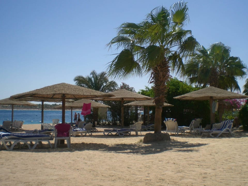 Weiter Abstand zwischen Liegeplätzen Fort Arabesque Resort, Spa & Villas