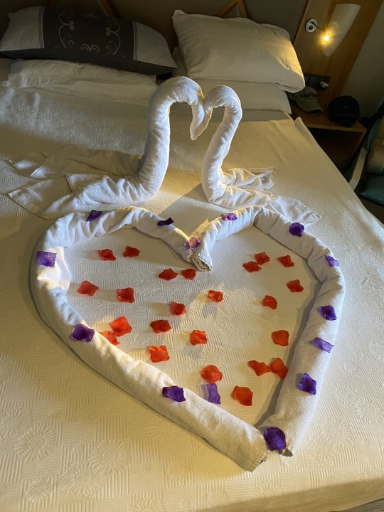 Zimmer Papillon Ayscha