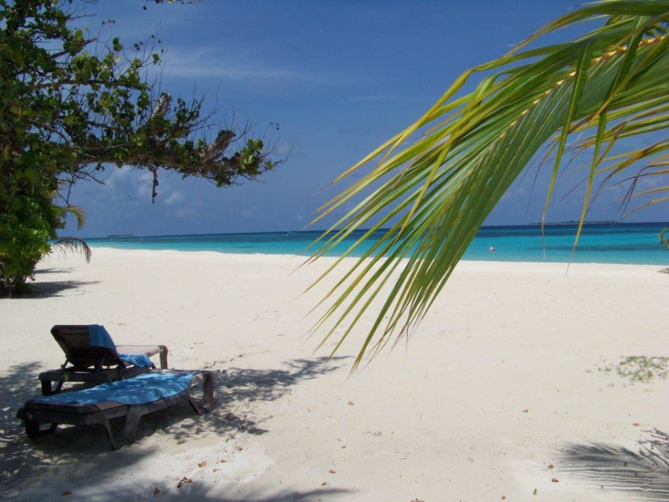 Vor dem Beachbungalow Kuredu Island Resort & Spa