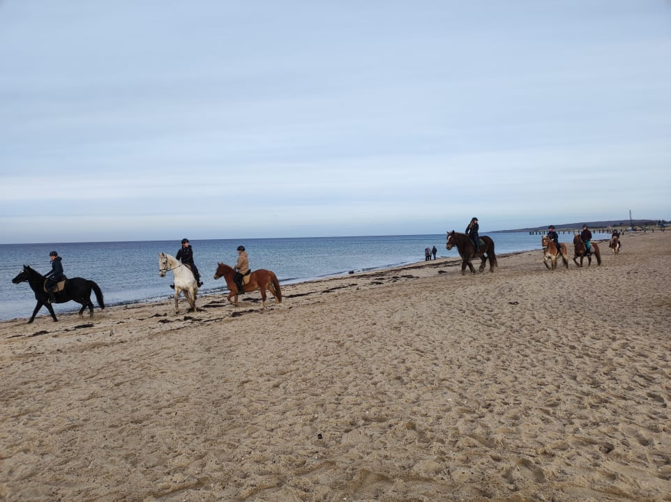 Strand Ferienwohnungen Ferienpark Weissenhäuser Strand
