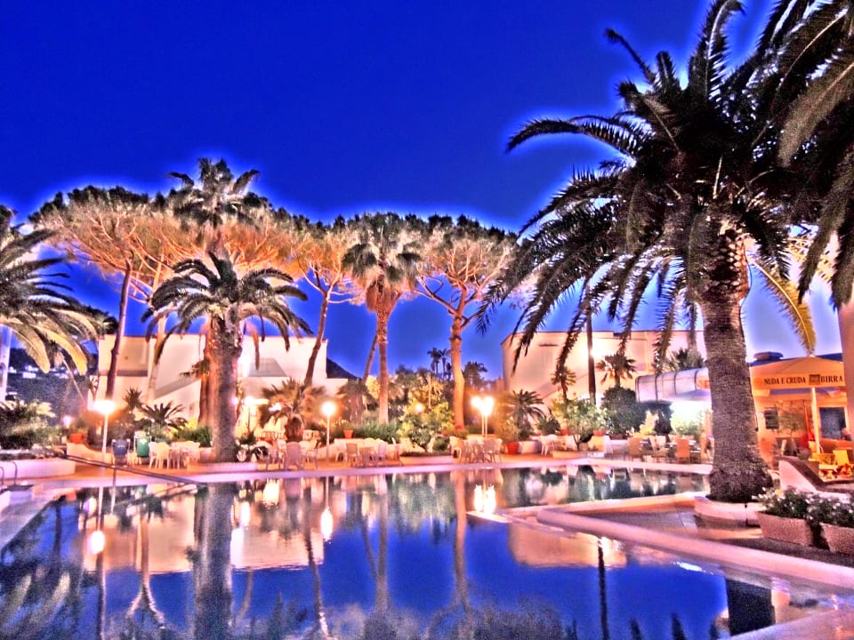 Pool Hotel Terme Royal Palm