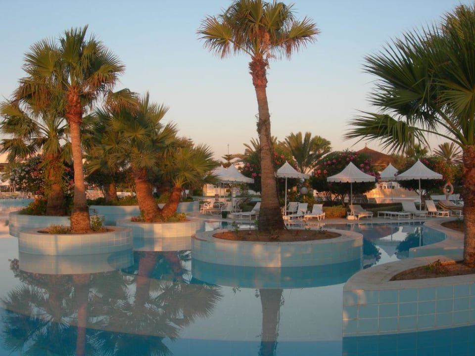 Pool Djerba Plaza Djerba Plaza Thalasso & Spa