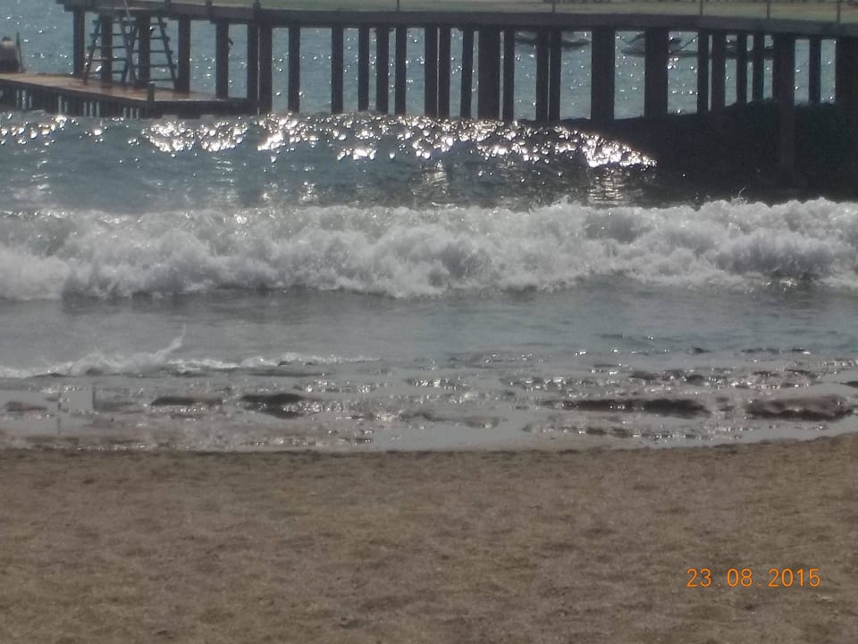 Einstieg über Steg  Dizalya Palm Garden