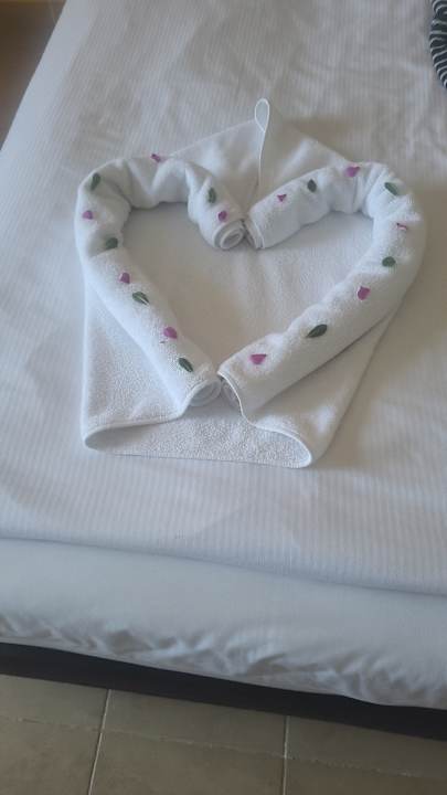 Zimmer Coral Sun Beach