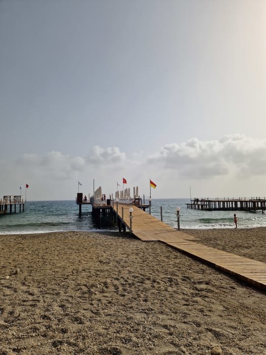 Strand Dizalya Palm Garden