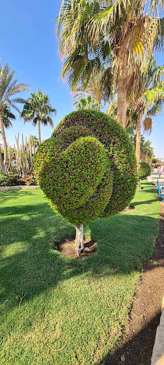Außenansicht Sharm Club Beach Resort