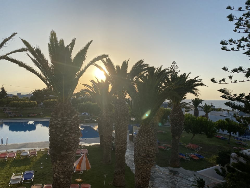 Pool TUI SUNEO Chrissi Amoudia