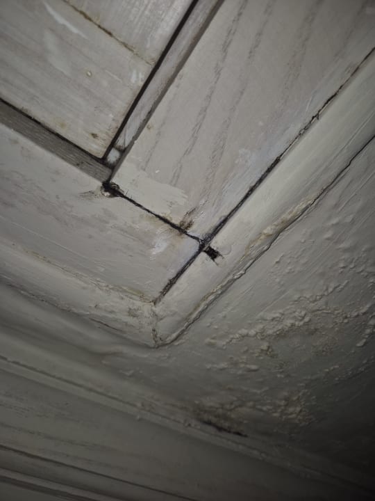 Zimmer Makadi Spa - Adults only