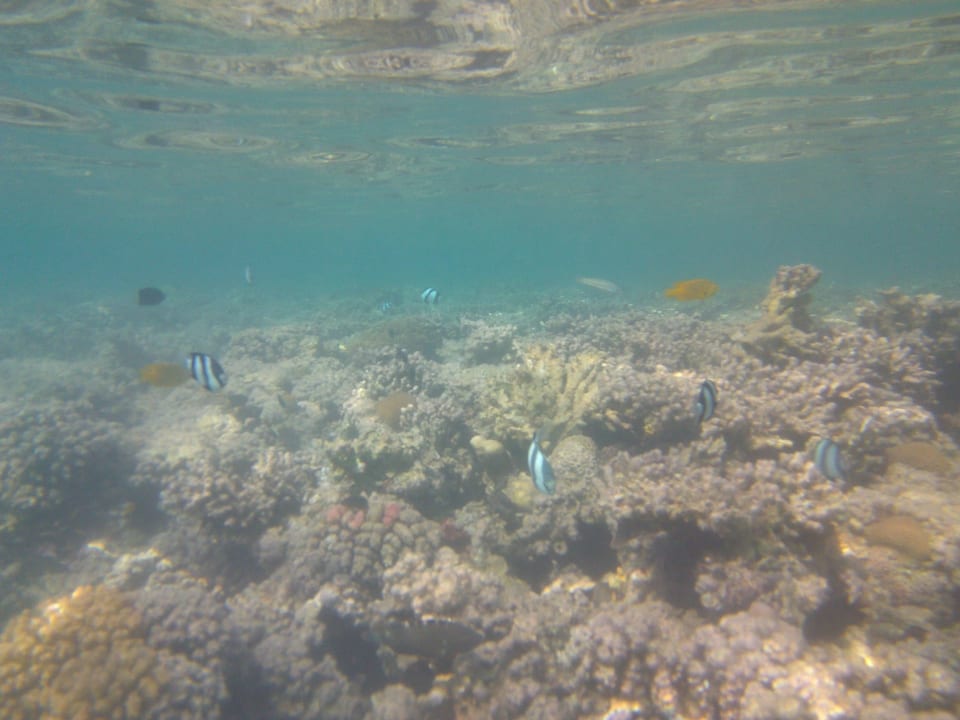 Strand Cleopatra Luxury Resort Makadi Bay