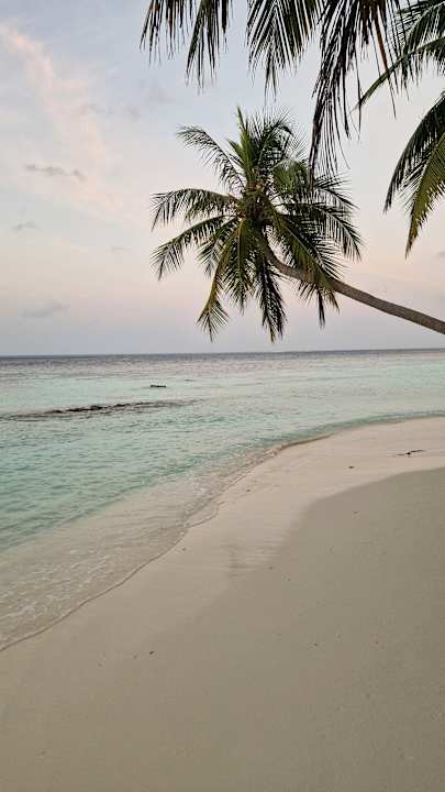 Strand Vilamendhoo Island Resort & Spa