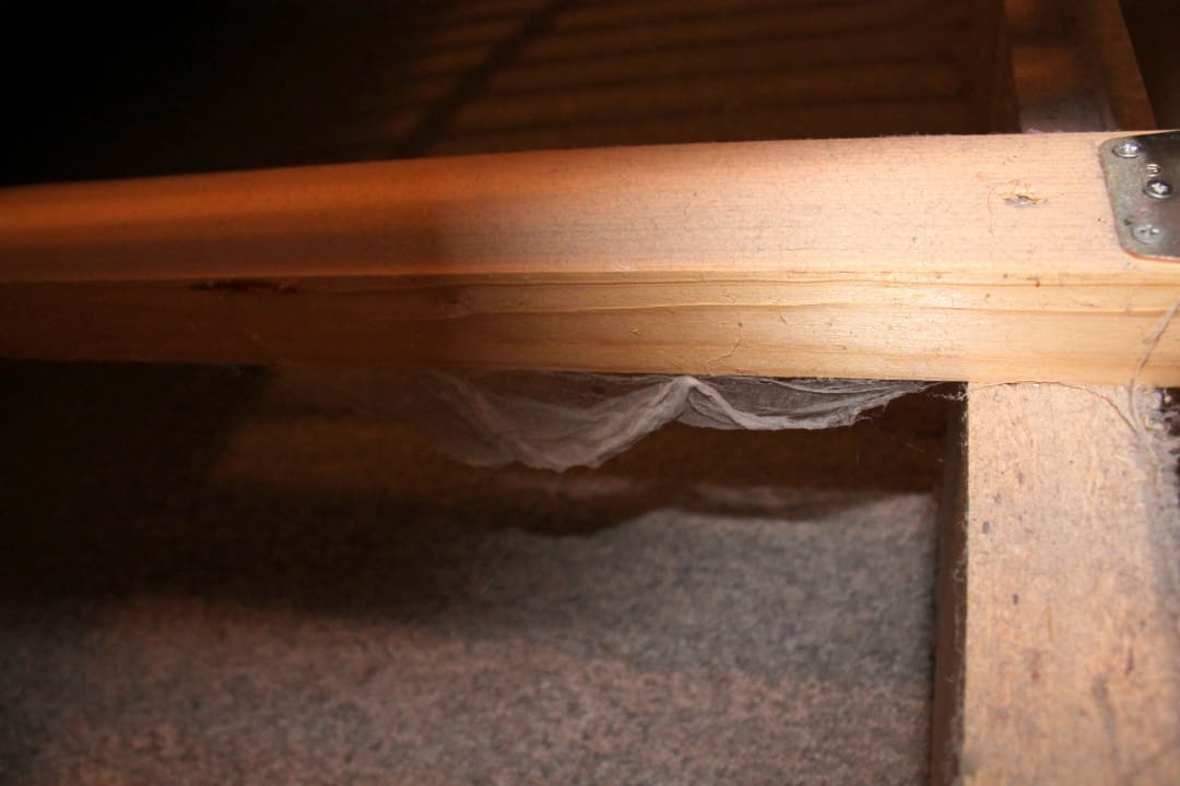 Staub der gefühlten  20 Jahre Pension Landhaus Machold