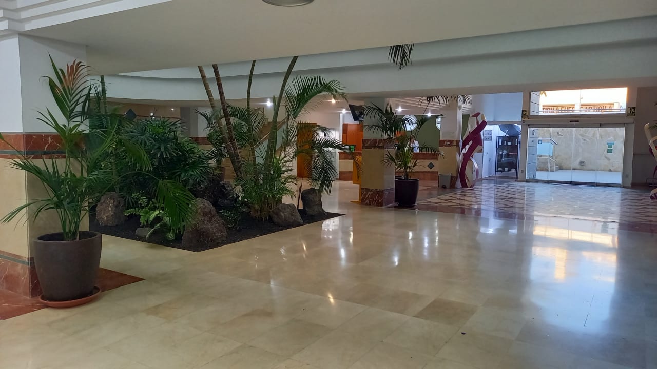 Lobby IFA Altamarena by Lopesan Hotels