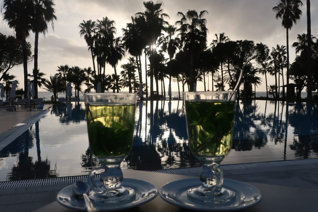 Pool Acanthus Cennet Barut Collection