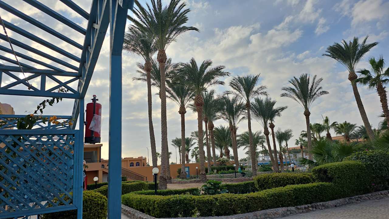 Ausblick Giftun Azur Resort