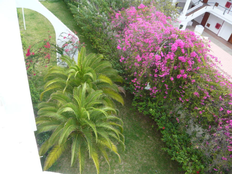 Blick vom Zimmer in den Garten LABRANDA Marieta - Adults only