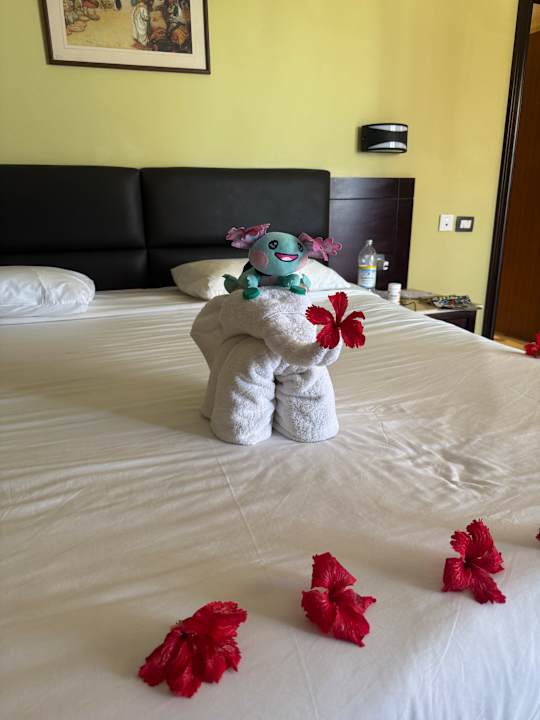 Zimmer Casa Mare Resort