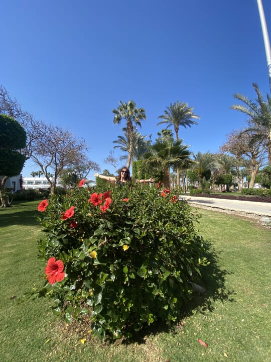 Gartenanlage The Grand Hotel Hurghada