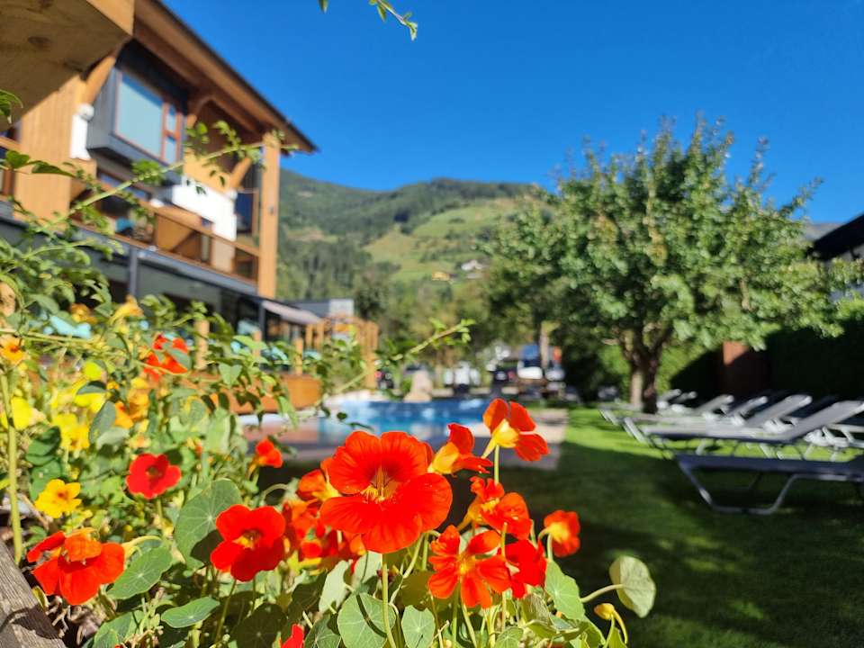 Pool Hotel Alpina