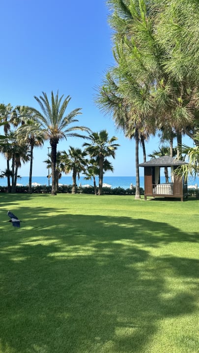 Gartenanlage Acanthus Cennet Barut Collection