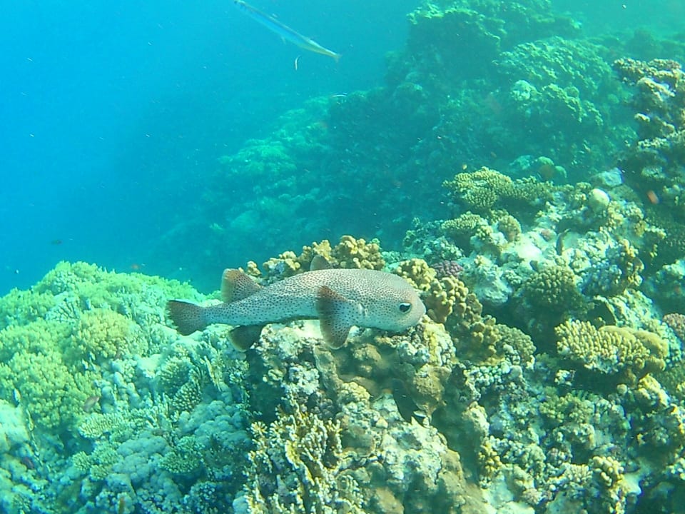 Strand Casa Mare Resort