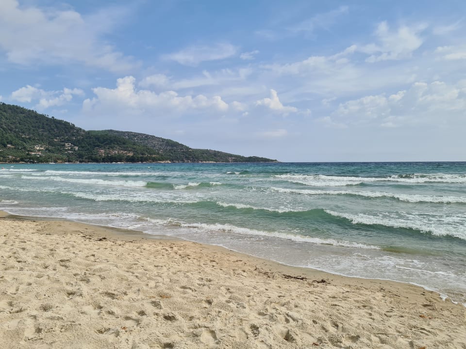 Strand Alexandra Golden Boutique - Adults only