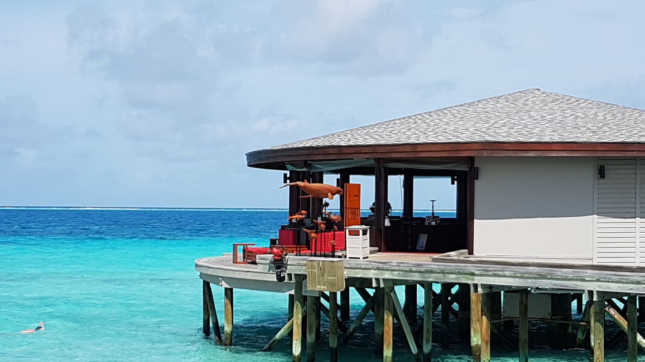 Gastro Centara Ras Fushi Resort & Spa Maldives